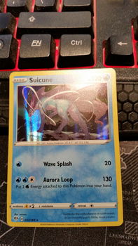 Suicune 037/189 Holo Rare Sword & Shield: Darkness Ablaze - 0