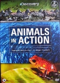 Animals In Action (2 DVD) Discovery Channel Nieuw/Gesealed - 0