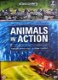 Animals In Action (2 DVD) Discovery Channel Nieuw/Gesealed - 0 - Thumbnail