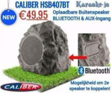 Caliber HSB407BT Rotsvormige luidspreker met Bluetooth,Aux.