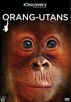 Orangutans (DVD) Discovery Channel Nieuw/Gesealed - 0