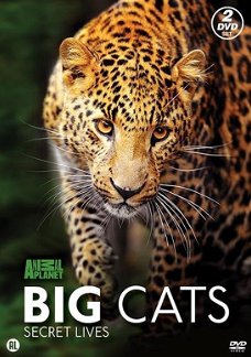 Big Cats Secret Lives  (2 DVD) Discovery Channel Nieuw/Gesealed  