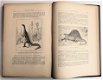 Les Animaux excentriques 1903 Coupin - Dieren - 4 - Thumbnail