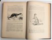 Les Animaux excentriques 1903 Coupin - Dieren - 5 - Thumbnail