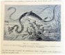 Les Animaux excentriques 1903 Coupin - Dieren - 6 - Thumbnail