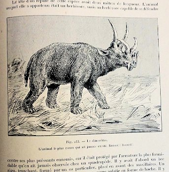 Les Animaux excentriques 1903 Coupin - Dieren - 7