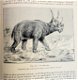 Les Animaux excentriques 1903 Coupin - Dieren - 7 - Thumbnail