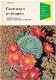 Cactussen in kleuren - 0 - Thumbnail