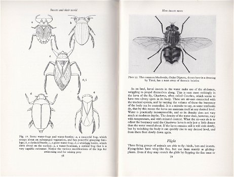 Insects and their world - 1