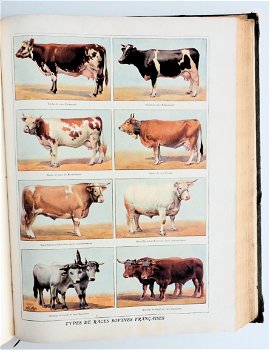 Dictionnaire Pratique de l’Agriculture moderne 1920 Sagnier - 7