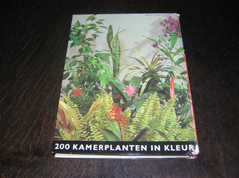 Het nieuwe kamerplantenboek - 200 planten in kleur - 1