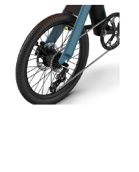 FIIDO D11 Folding Electric Moped Bicycle 20 Inch Tire 250W - 2