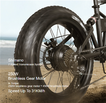 FIIDO M1 Folding Electric Mountain Bike 20