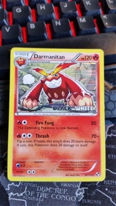 Darmanitan  25/114  Pre-Release Promo nm