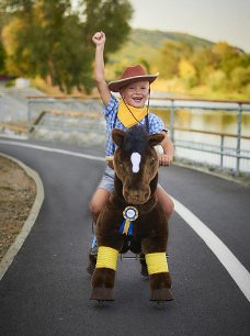 PonyCycle Donkerbruin Luxe versie voor Leeftijd 3-5 jaar