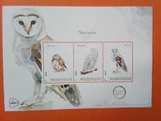 Postzegelsetje Postnl - Vogels Uilen  velletje + 3 kaarten Postfris
