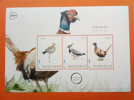 Postnl setje weidevogels 2020 3x zegels 3 kaarten Postfris - 0