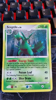 Sceptile Holo 10/100  Diamond and Pearl Stormfront  gebruikt