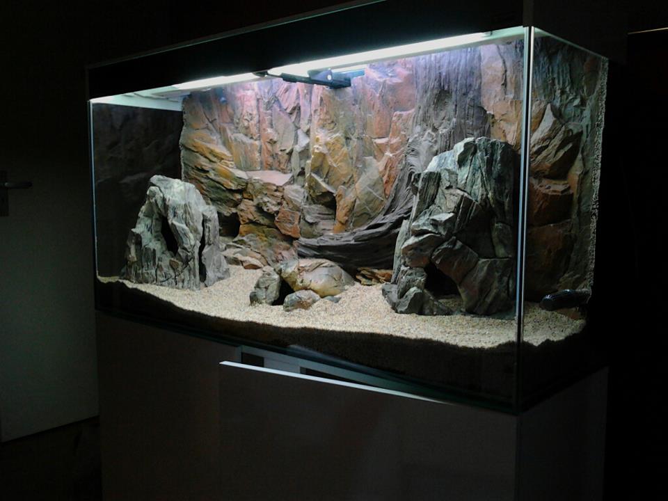 Polyester Aquarium achterwand "Standard" 100×60cm - nr. 1