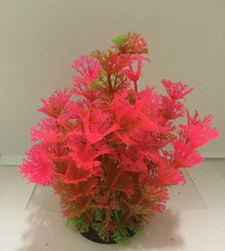 Mooie niet van echt te onderscheiden kunstplanten. - Afbeelding 7