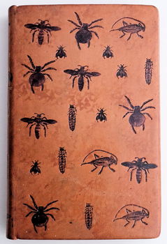 [Binding] Les Merveilles de l’Instinct chez les Insects 1913 - 0