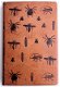 [Binding] Les Merveilles de l’Instinct chez les Insects 1913 - 0 - Thumbnail
