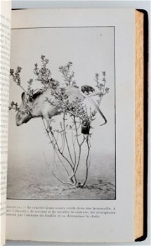 [Binding] Les Merveilles de l’Instinct chez les Insects 1913 - 4