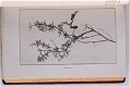 [Binding] Les Merveilles de l’Instinct chez les Insects 1913 - 7 - Thumbnail