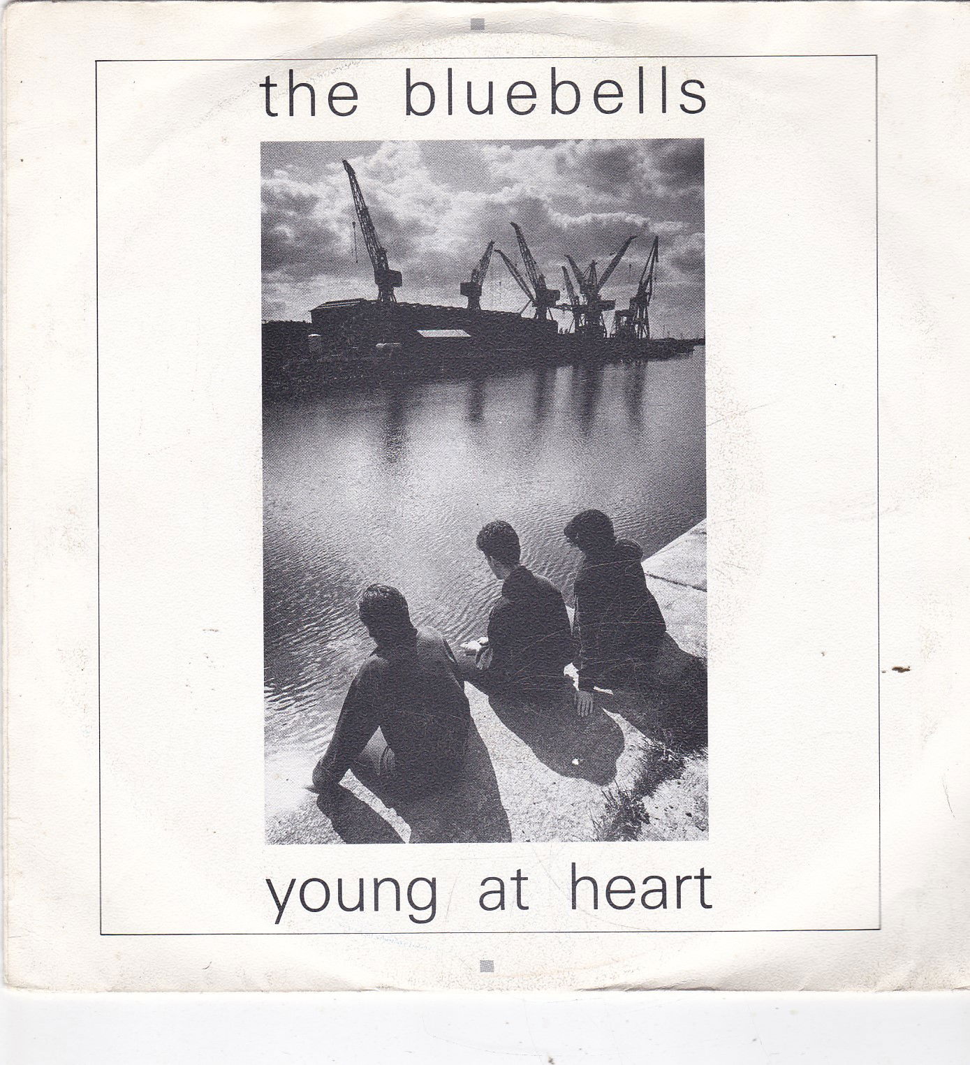 Single The Bluebells - Young at heart - nr. 1