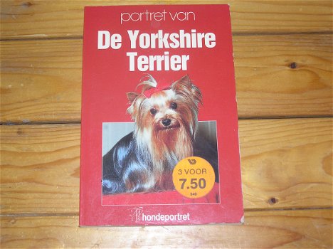 Portret van De Yorkshire Terrier. - 0