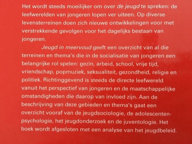 Jeugd in meervoud - A.J. Dieleman e.a. - Afbeelding 2