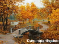 FULL diamond painting FALL L (SQUARE) GERESERVEERD