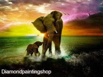 FULL diamond painting elephant sun L GERESERVEERD - nr. 1