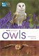 Owls - 0 - Thumbnail