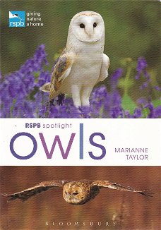 Owls