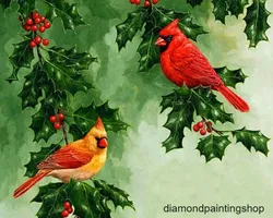FULL diamond painting cardinal GERESERVEERD