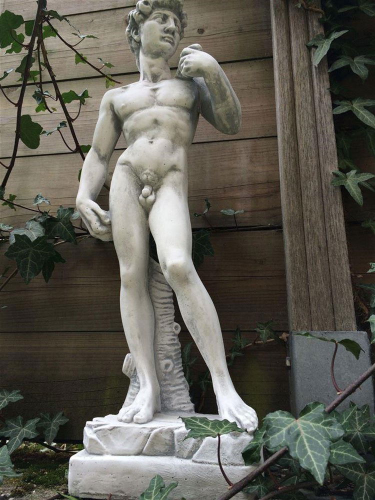 Beeld vol steen van de bijbelse figuur David - Afbeelding 6