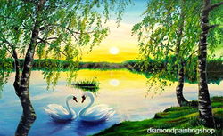 FULL diamond painting mountain peak swan (SQUARE) GERESERVEERD