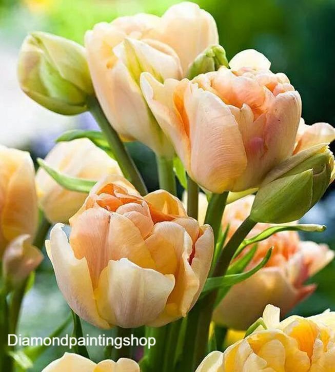 FULL diamond painting natural tullips (SQUARE) - nr. 1
