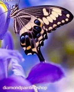 FULL diamond painting flowers with butterfly purple (SQUARE) - nr. 1