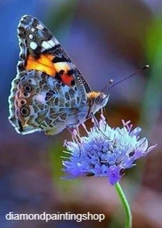 FULL diamond painting flowers with butterfly blue (SQUARE) - nr. 1
