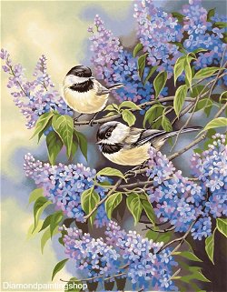 FULL diamond painting purple flowers with birds (SQUARE)