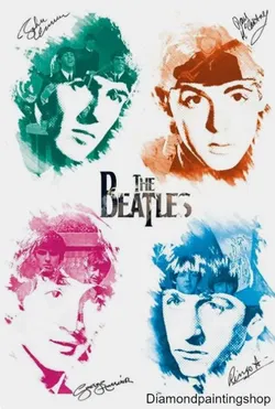 FULL diamond painting mountain beatles (SQUARE) GERESERVEERD
