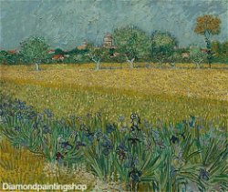 FULL diamond painting v Gogh veld met irissen (SQUARE)