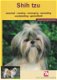 Shih Tzu - 0 - Thumbnail