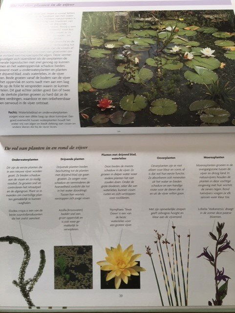 Vijvervissen en waterplanten - Graham Quick - Afbeelding 8