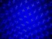 Firefly laser effect 200mw = blauw (143-b) - 2 - Thumbnail