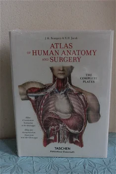 ATLAS OF HUMAN ANATOMY & SURGERY - 0