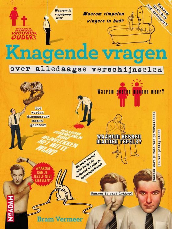 Bram Vermeer - Knagende Vragen - nr. 1