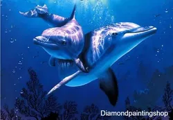 FULL diamond painting dolphin 2 (SQUARE) GERESERVEERD
